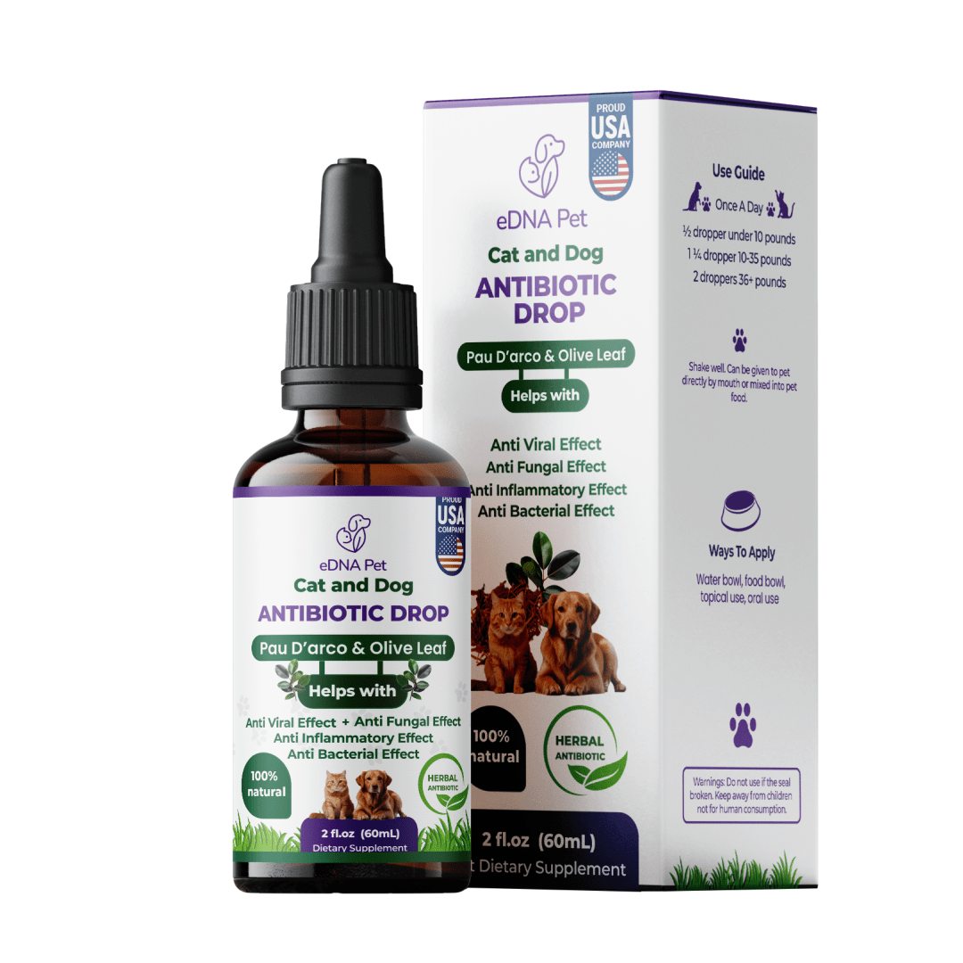 Antibiotic for Dogs & Cats | Dog & Cat Health Supplies Drops | Herbal Remedy with Cranberry, Respiratory & Cold Drop | 2 Fl.Oz - HARMONIFY - Antibiotic for Dogs & Cats | Dog & Cat Health Supplies Drops | Herbal Remedy with Cranberry, Respiratory & Cold Drop | 2 Fl.Oz - HARMONIFY - Pet Supplement -